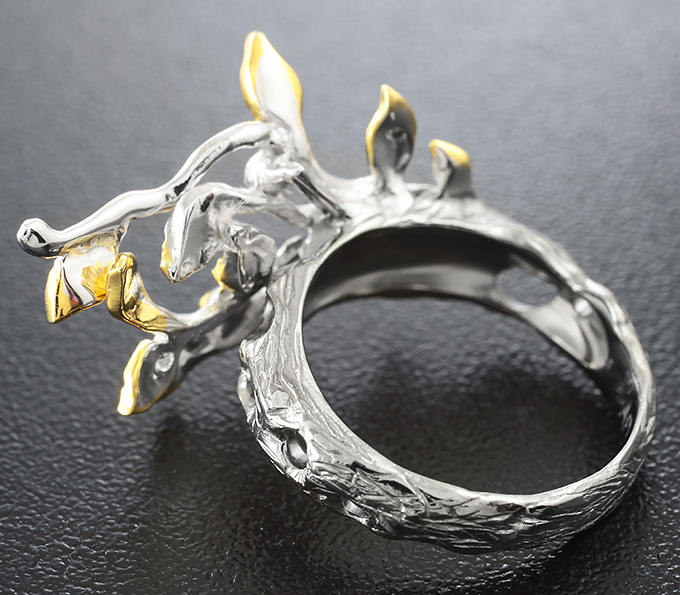 Ring